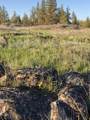 29412 Cornwall Rd - Photo 41