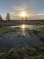 29412 Cornwall Rd - Photo 42