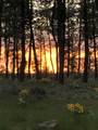 29412 Cornwall Rd - Photo 44