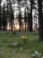 29412 Cornwall Rd - Photo 45