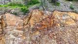 6071 Bead Lake Rd - Photo 12