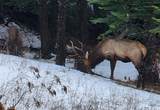 6071 Bead Lake Rd - Photo 49