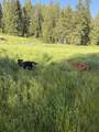 2845 C Burnt Valley Rd - Photo 23