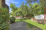 23011 Colt Ln - Photo 20
