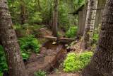 20611 Wallis Rd - Photo 8