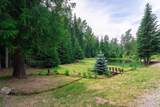 20611 Wallis Rd - Photo 9