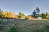 28600-302 Tamarac Mt Spokane Park Dr - Photo 8