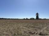 4851 Enoch Rd - Photo 11