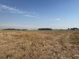 4851 Enoch Rd - Photo 6