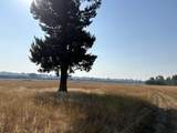 4851 Enoch Rd - Photo 9
