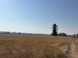 4851 Enoch Rd - Photo 10