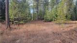 441 Silver Birch Rd - Photo 13