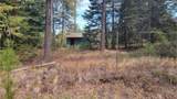 441 Silver Birch Rd - Photo 15