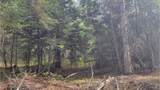 441 Silver Birch Rd - Photo 20