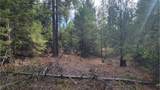 441 Silver Birch Rd - Photo 21