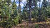 441 Silver Birch Rd - Photo 22