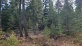 441 Silver Birch Rd - Photo 24