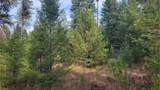 441 Silver Birch Rd - Photo 25