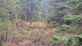 441 Silver Birch Rd - Photo 26