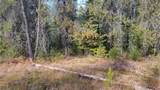 441 Silver Birch Rd - Photo 27