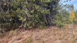 441 Silver Birch Rd - Photo 28