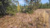 441 Silver Birch Rd - Photo 30
