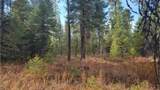 441 Silver Birch Rd - Photo 32