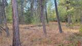 441 Silver Birch Rd - Photo 33