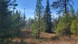 441 Silver Birch Rd - Photo 35