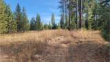 441 Silver Birch Rd - Photo 6