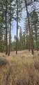 34XX Daisy Mine Rd - Photo 3