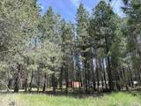4430 D Springdale Hunters Rd - Photo 41