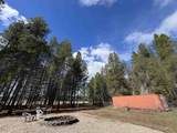 4430 D Springdale Hunters Rd - Photo 45