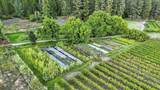 3752 Vineyard Way - Photo 40