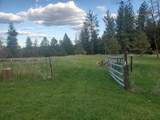 16812 Big Sky Ln - Photo 32
