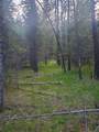 16812 Big Sky Ln - Photo 34