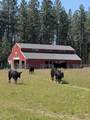 21411 Spotted Rd - Photo 41