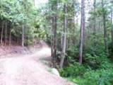3121 Fifteen Mile Creek Rd. Rd - Photo 35