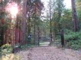 3121 Fifteen Mile Creek Rd. Rd - Photo 37