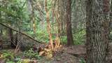 334 Sanham Ln - Photo 45