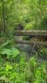 334 Sanham Ln - Photo 46
