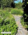 36019 Milan-Elk Rd - Photo 11