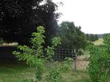 32002 Spotted Rd - Photo 23