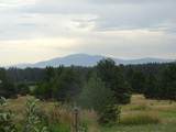 32002 Spotted Rd - Photo 4