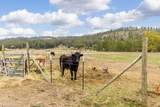 4582 A Hwy 231 Hwy - Photo 29
