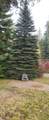 9142 Coyote Trail Rd - Photo 36