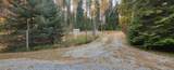 9142 Coyote Trail Rd - Photo 40