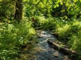 3121 Fifteen Mile Creek Rd. Rd - Photo 27