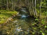 3121 Fifteen Mile Creek Rd. Rd - Photo 28