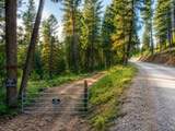 3121 Fifteen Mile Creek Rd. Rd - Photo 30